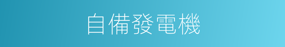 自備發電機的同義詞