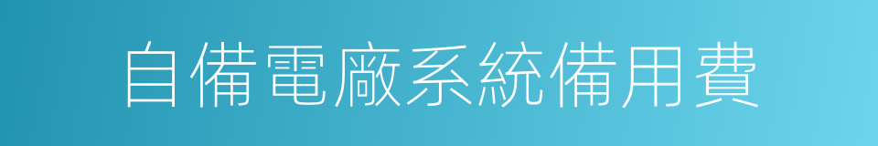 自備電廠系統備用費的同義詞