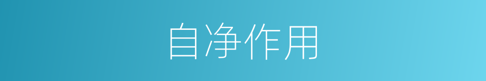 自净作用的意思