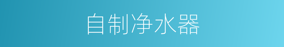 自制净水器的同义词