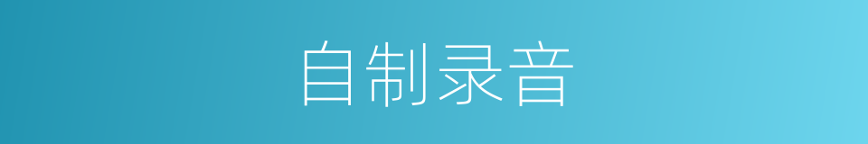自制录音的同义词
