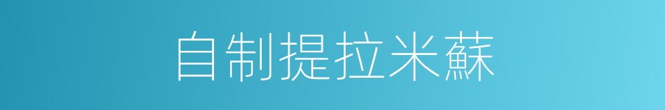 自制提拉米蘇的同義詞