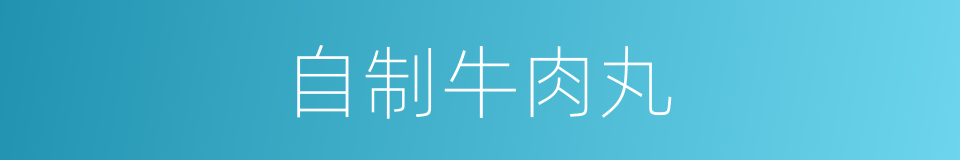 自制牛肉丸的同义词