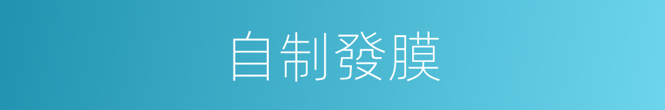 自制發膜的同義詞