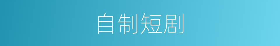 自制短剧的同义词
