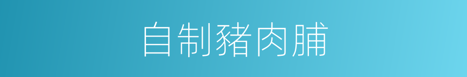 自制豬肉脯的同義詞