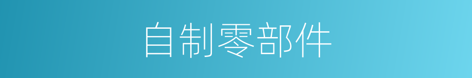 自制零部件的同义词