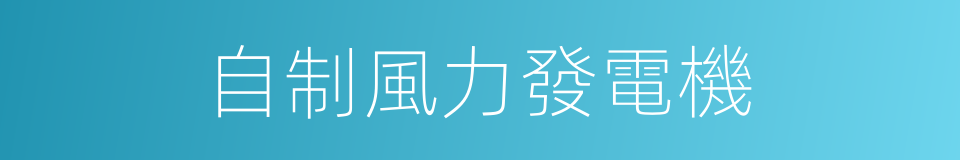 自制風力發電機的同義詞