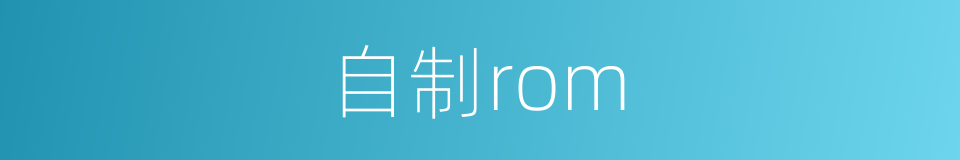 自制rom的同义词