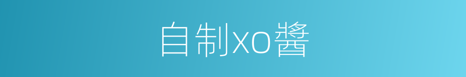 自制xo醬的同義詞