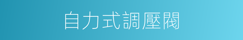 自力式調壓閥的同義詞