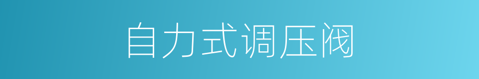 自力式调压阀的同义词