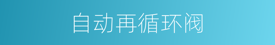 自动再循环阀的同义词