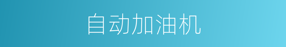 自动加油机的同义词