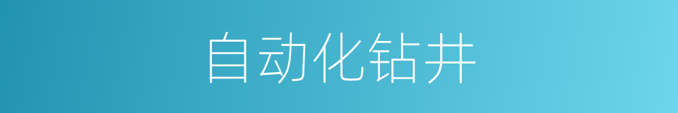 自动化钻井的同义词