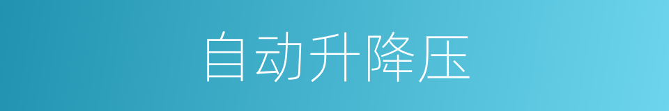 自动升降压的同义词
