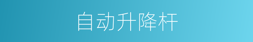 自动升降杆的同义词