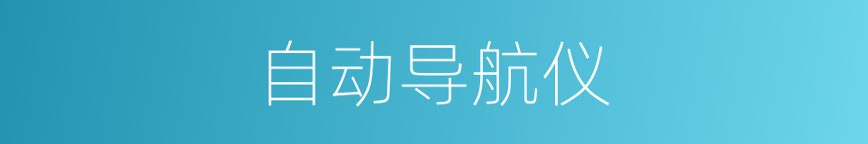 自动导航仪的同义词