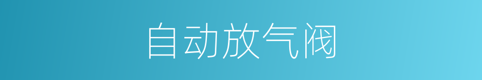 自动放气阀的同义词