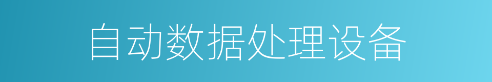 自动数据处理设备的同义词