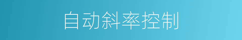 自动斜率控制的同义词