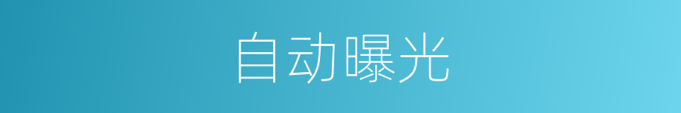 自动曝光的同义词