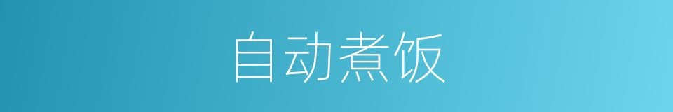 自动煮饭的同义词