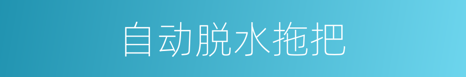 自动脱水拖把的同义词