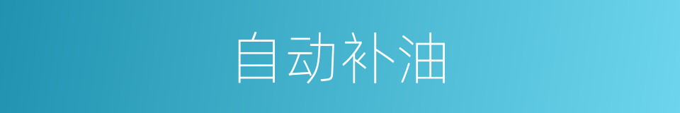 自动补油的同义词