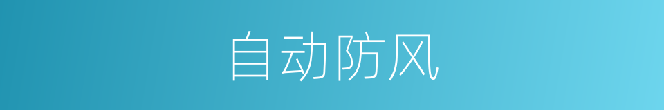 自动防风的同义词