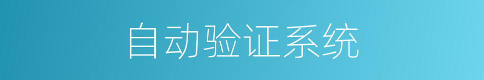 自动验证系统的同义词