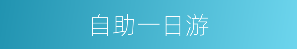 自助一日游的同义词