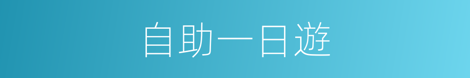 自助一日遊的同義詞