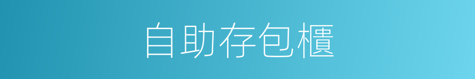 自助存包櫃的同義詞