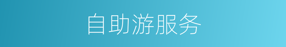 自助游服务的同义词
