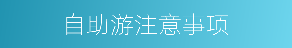 自助游注意事项的同义词