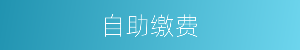 自助缴费的同义词