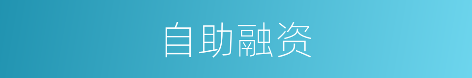 自助融资的同义词