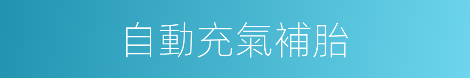 自動充氣補胎的同義詞