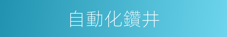 自動化鑽井的同義詞