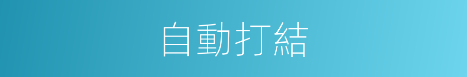 自動打結的同義詞