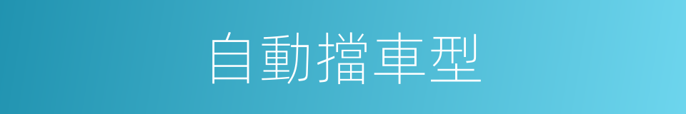 自動擋車型的同義詞