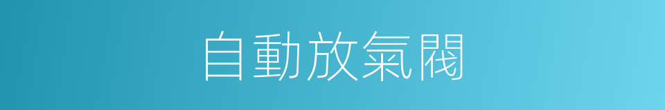 自動放氣閥的同義詞