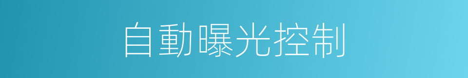 自動曝光控制的同義詞