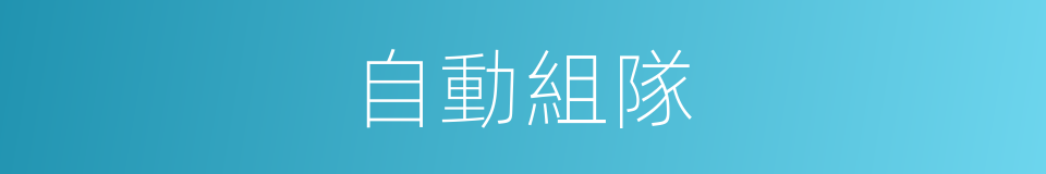 自動組隊的同義詞