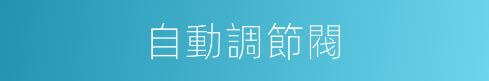 自動調節閥的同義詞