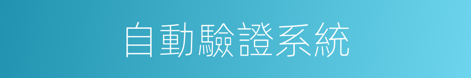 自動驗證系統的同義詞
