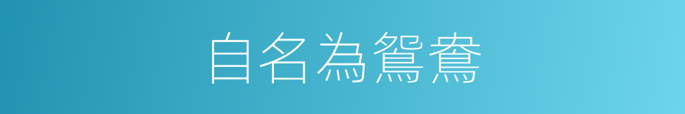 自名為鴛鴦的同義詞
