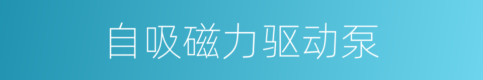 自吸磁力驱动泵的同义词
