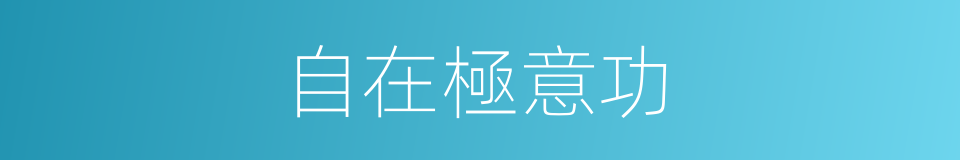 自在極意功的同義詞